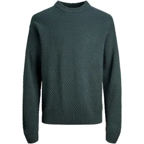 12246842 JORLAKEWOOD KNIT CREW NECK BF MAGICAL FOREST