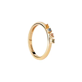 Anillo Rainbow Wing - PDPAOLA