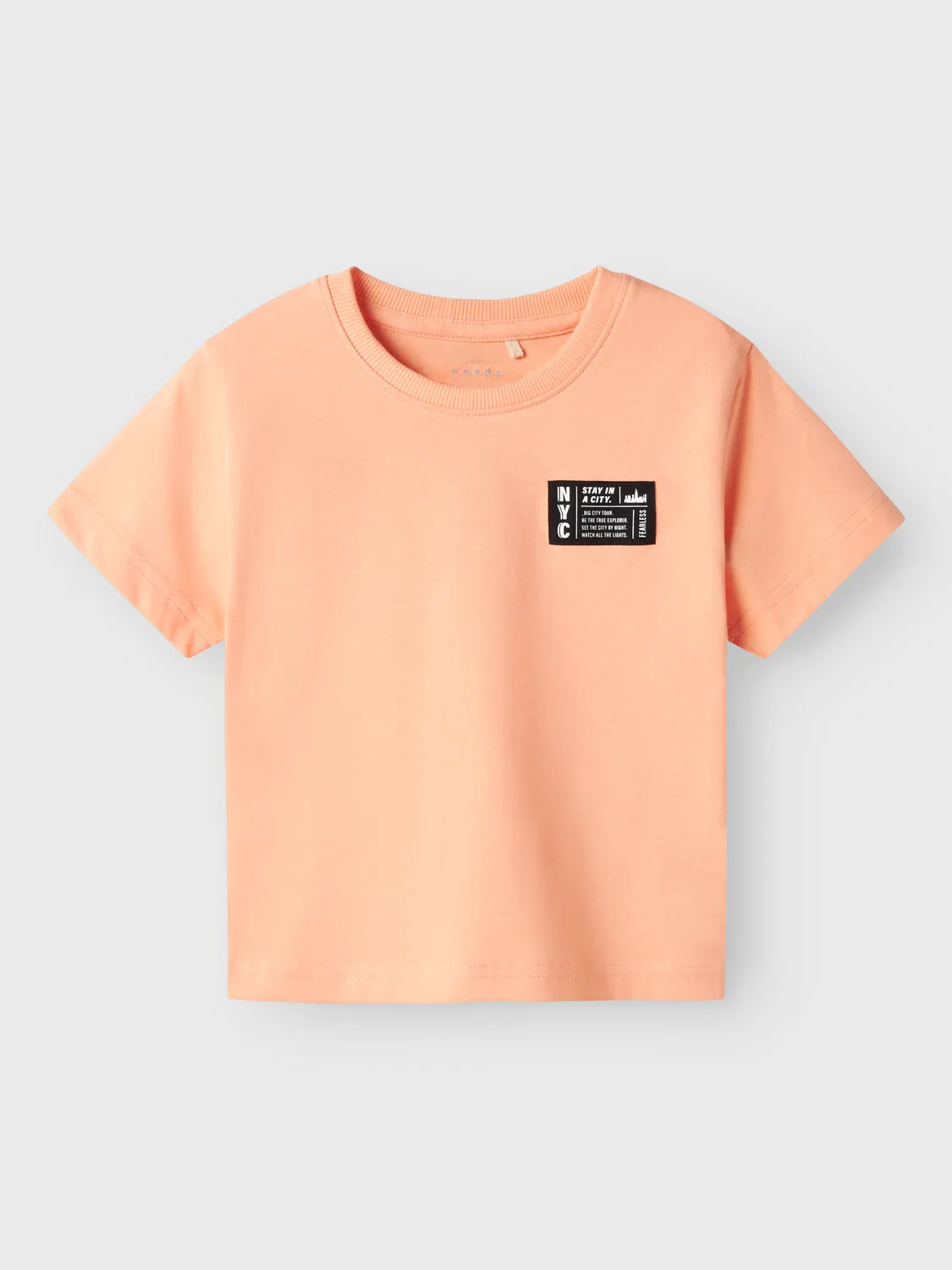CAMISETA VECTOR