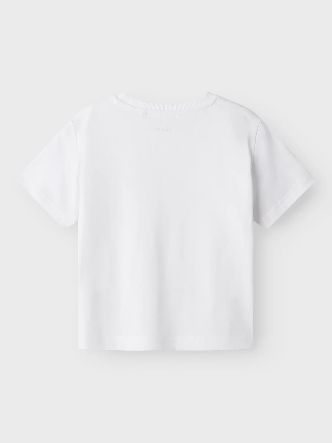 CAMISETA VECTOR