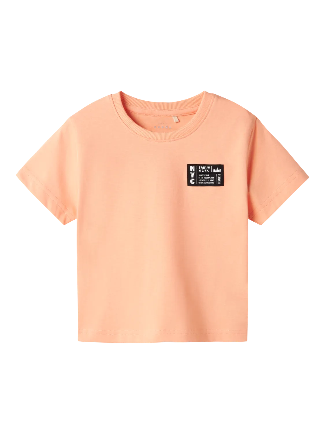 CAMISETA VECTOR