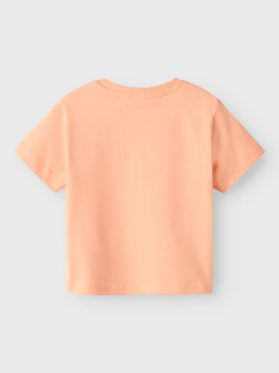 CAMISETA VECTOR