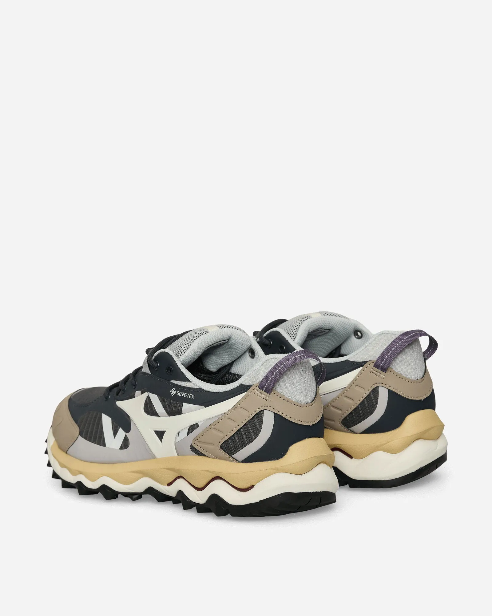 MIZUNO WAVE MUJIN TL GORETEX