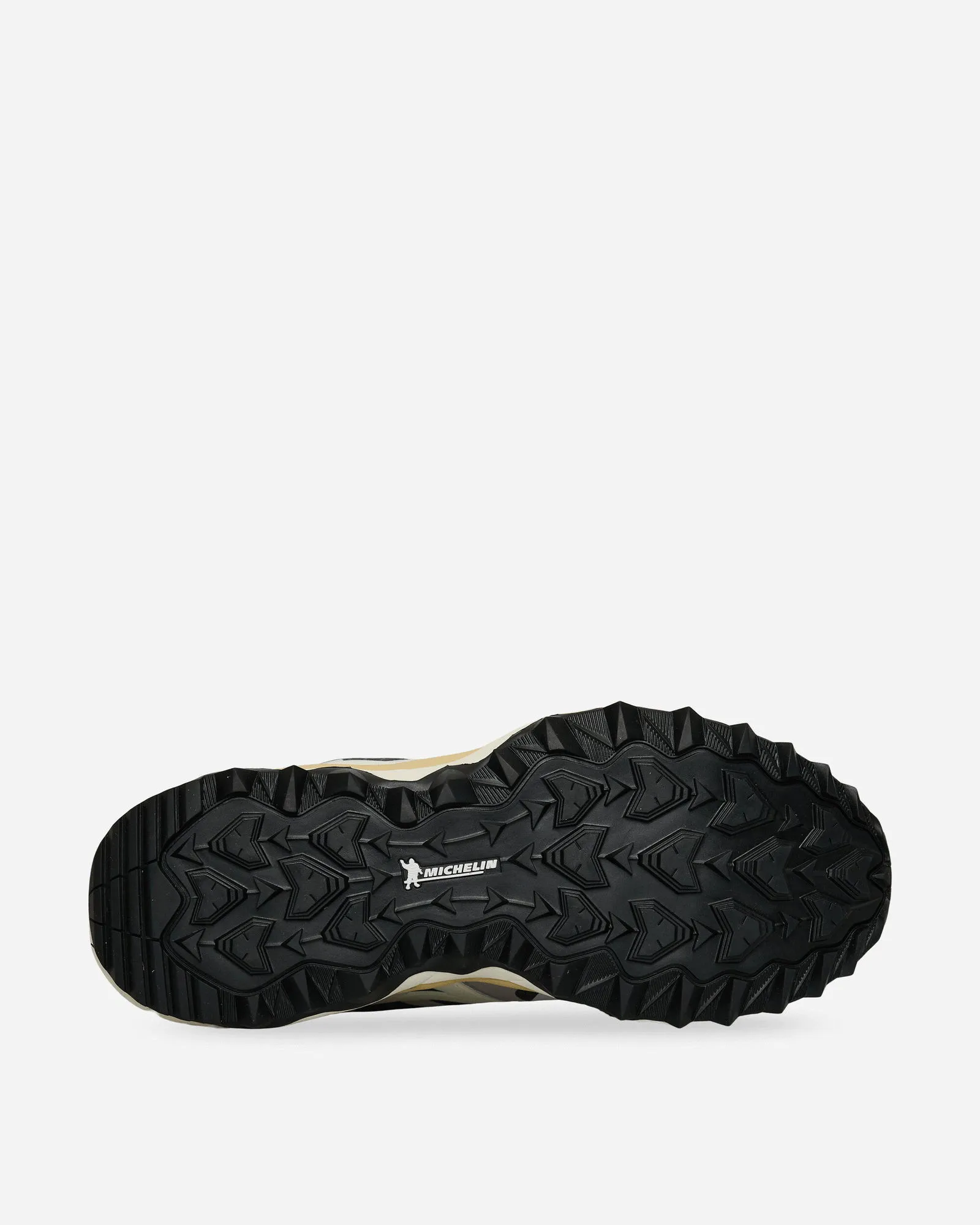 MIZUNO WAVE MUJIN TL GORETEX
