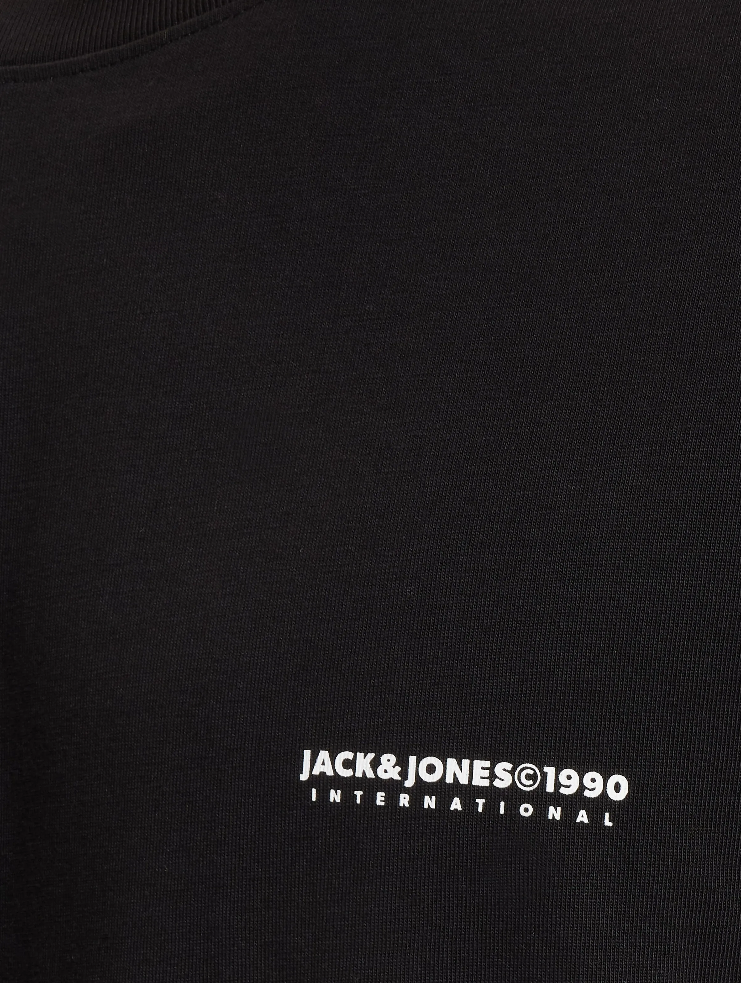 Portland Graphic Crew Neck