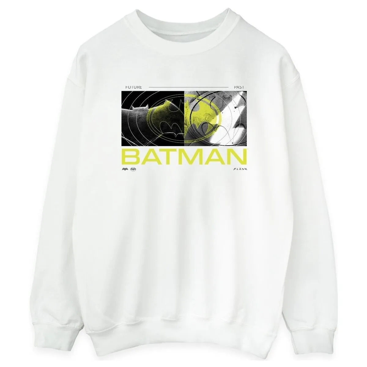 The Flash Batman Future To Past