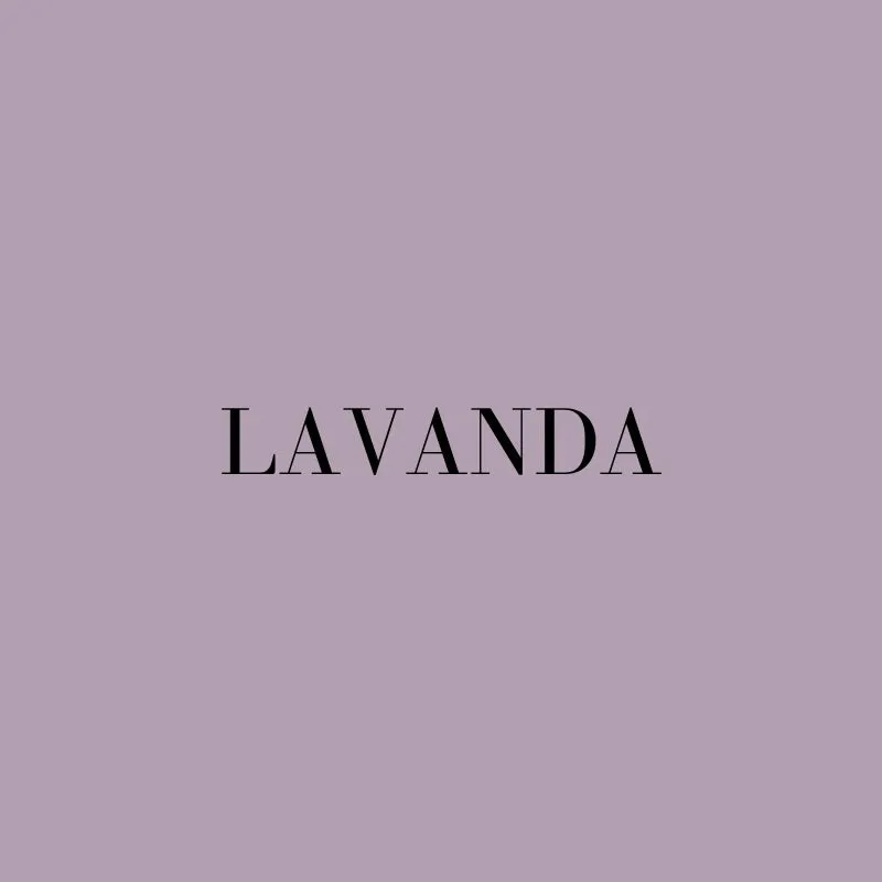 Túnica Corina midi mangas Sample Sale