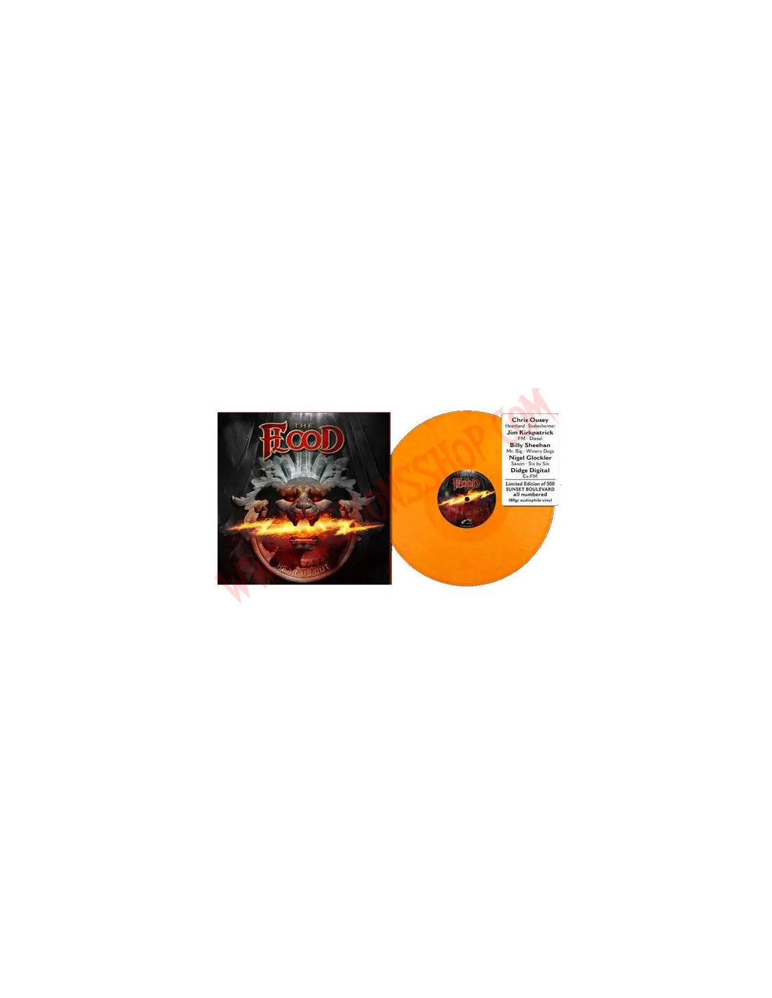 VINILO LP  THE FLOODS  HEAR US OUT