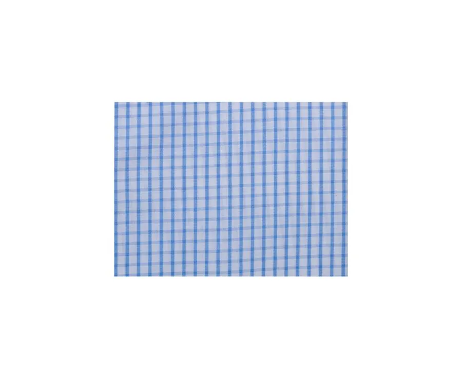 WHITE COTTON SHIRT WITH THIN LIGHT BLUE CHECKS  GLENN MC